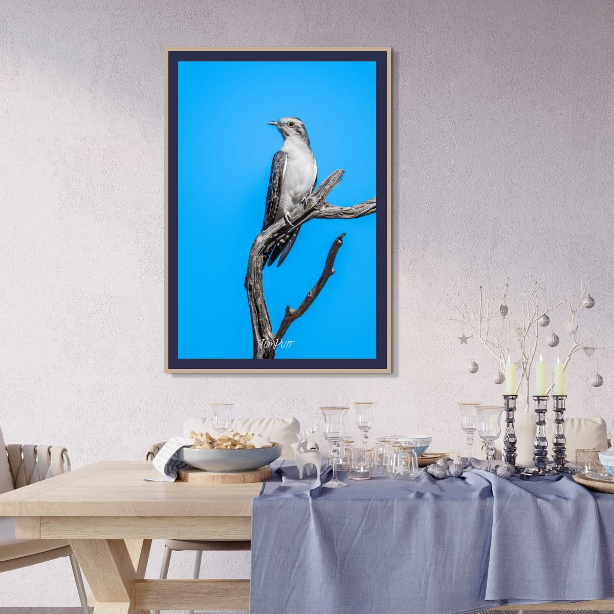 Poise. Pallid Cuckoo