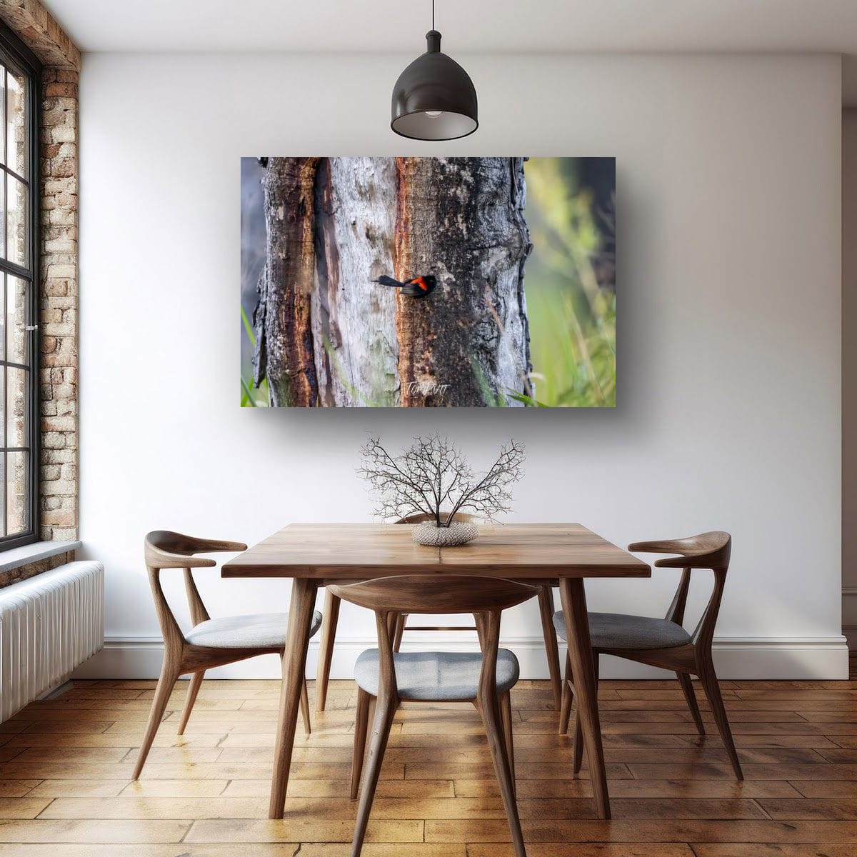 Bark Hopping Red-Backed Fairy Wren