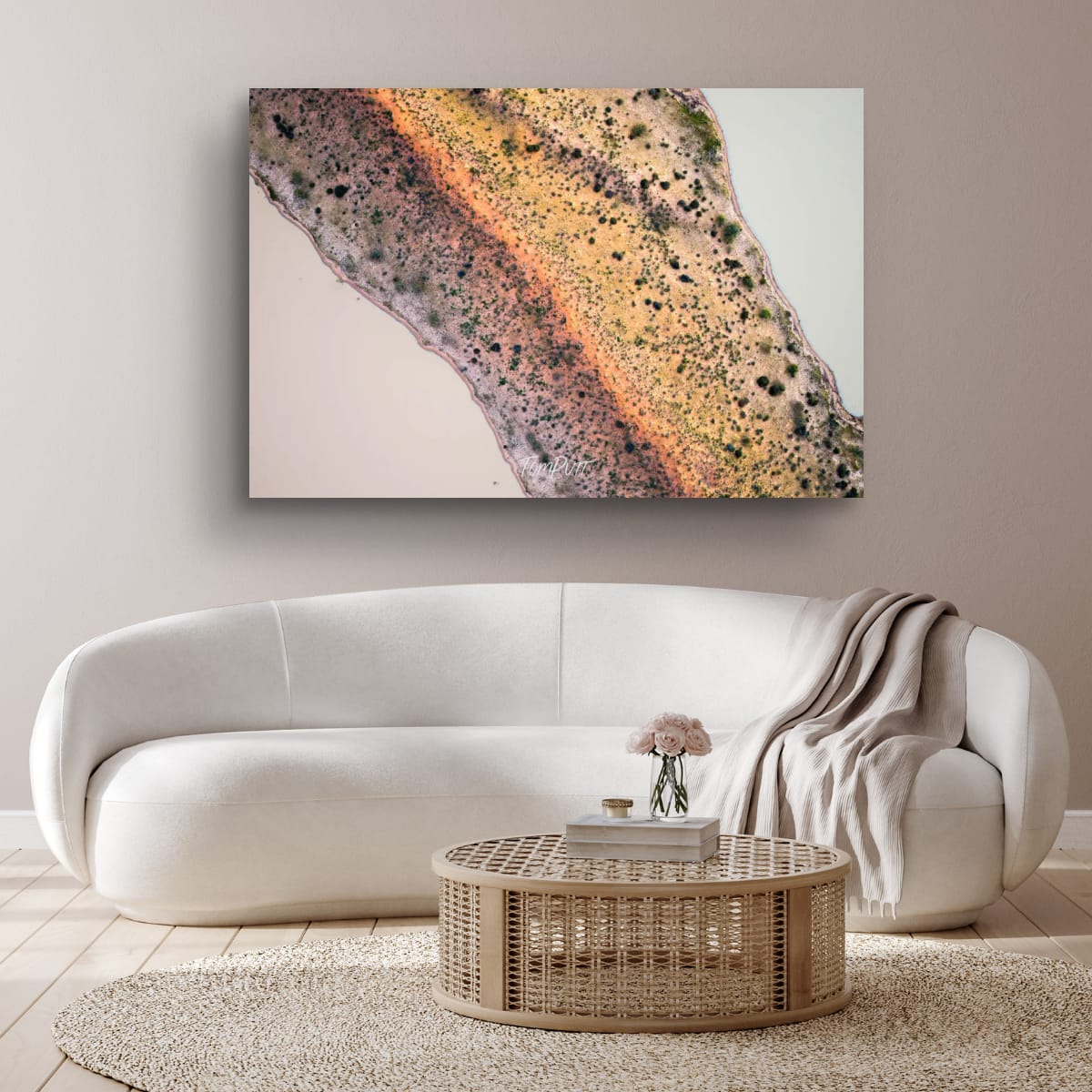Aerial Art, Channel Country