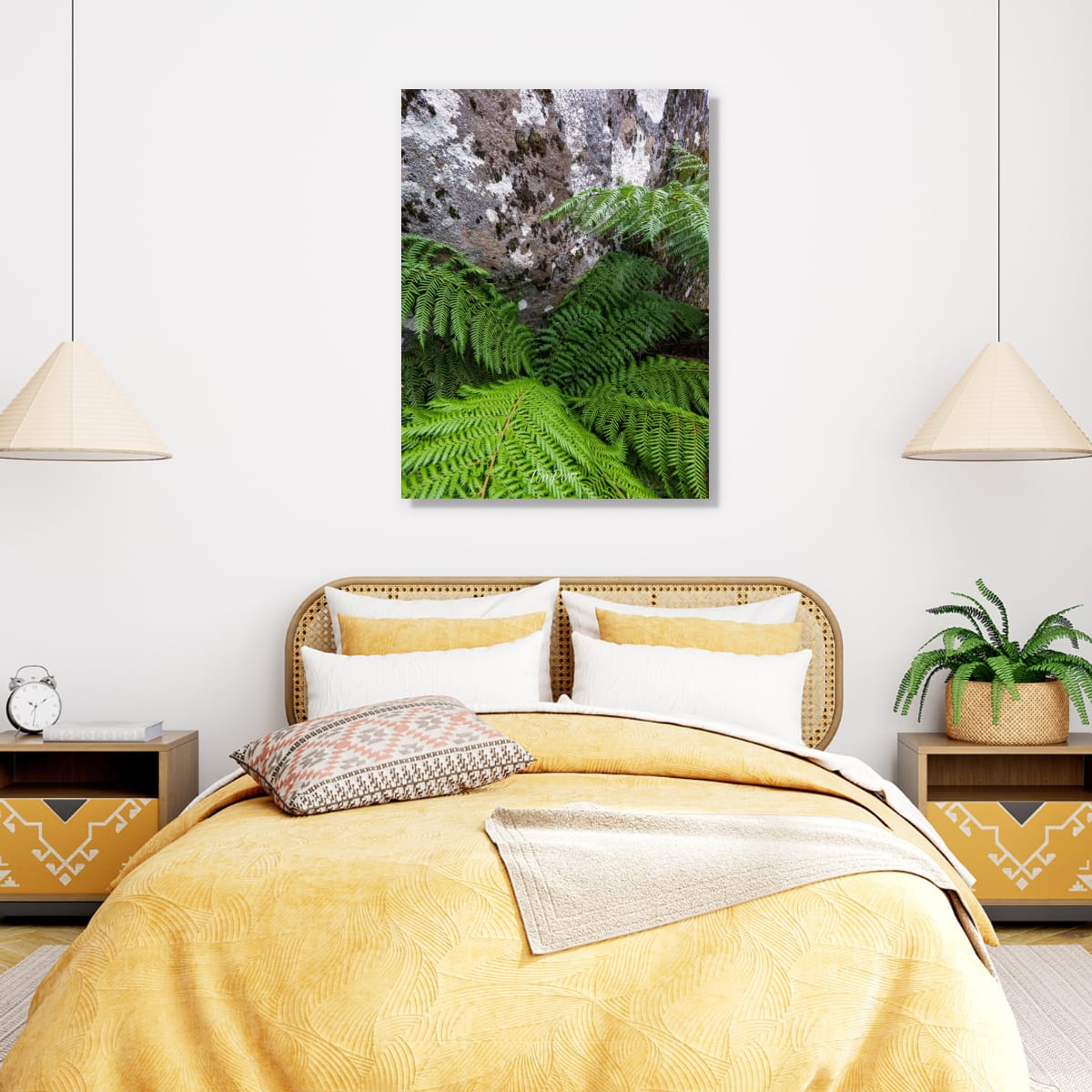 Fern Harbour, Mt Baw Baw
