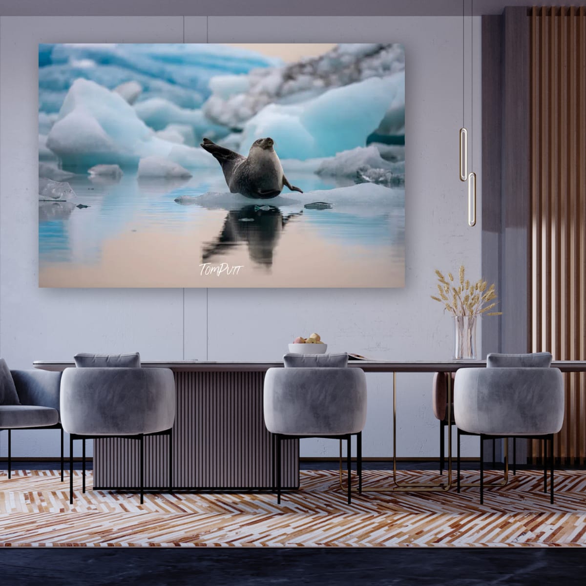 Icebound Seal, Iceland