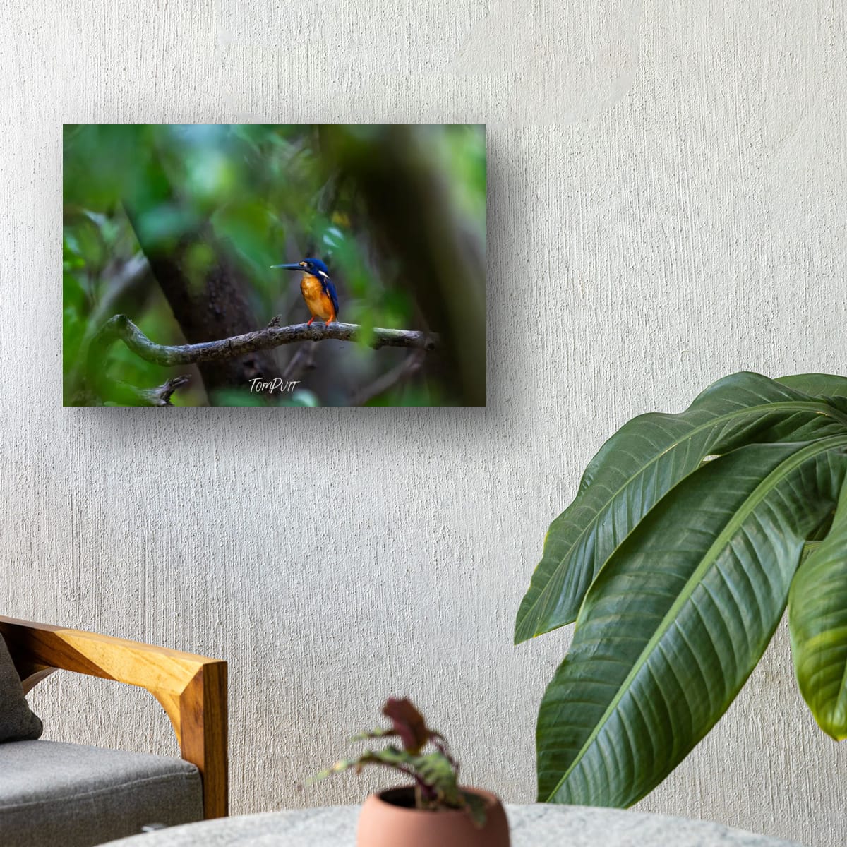 Azure Kingfisher Sentinel