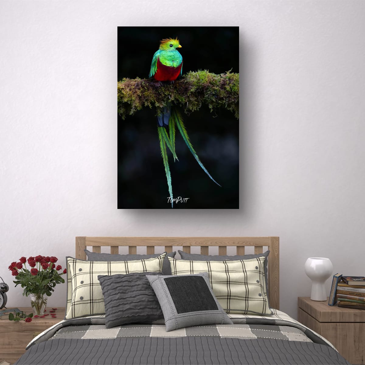 Resplendent Quetzal #2, Costa Rica