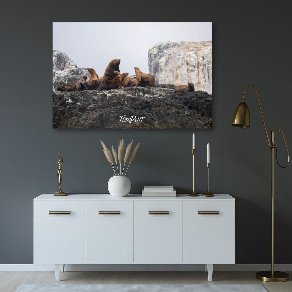 Mountain Top Meeting: Sea Lion