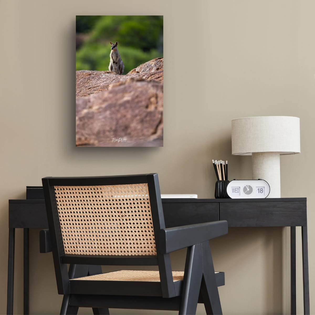 Lookout. Purple-Necked Rock Wallaby