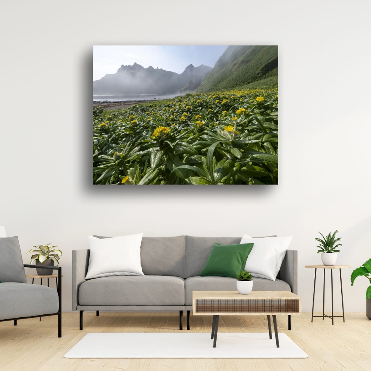 Fields and Mountains