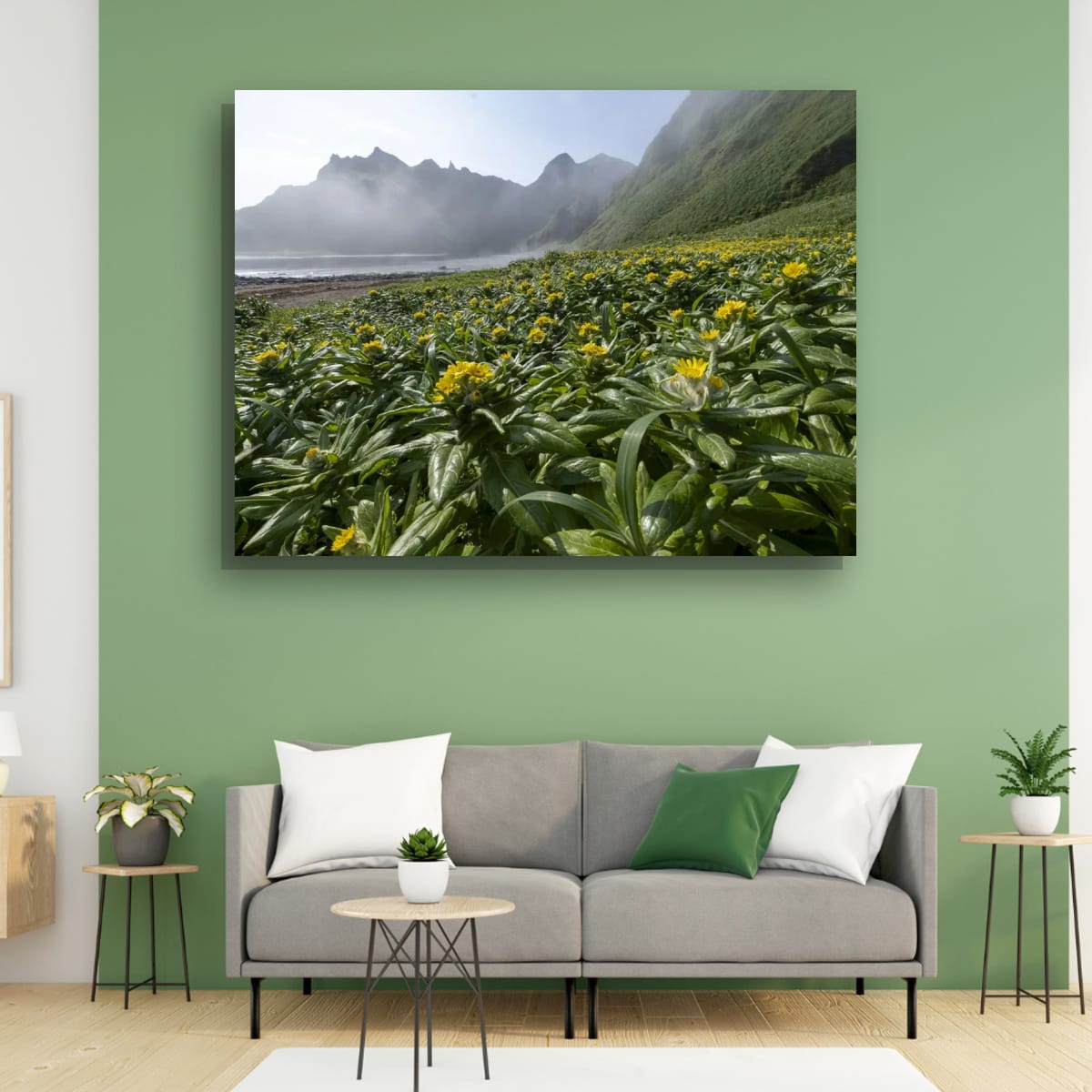 Fields and Mountains