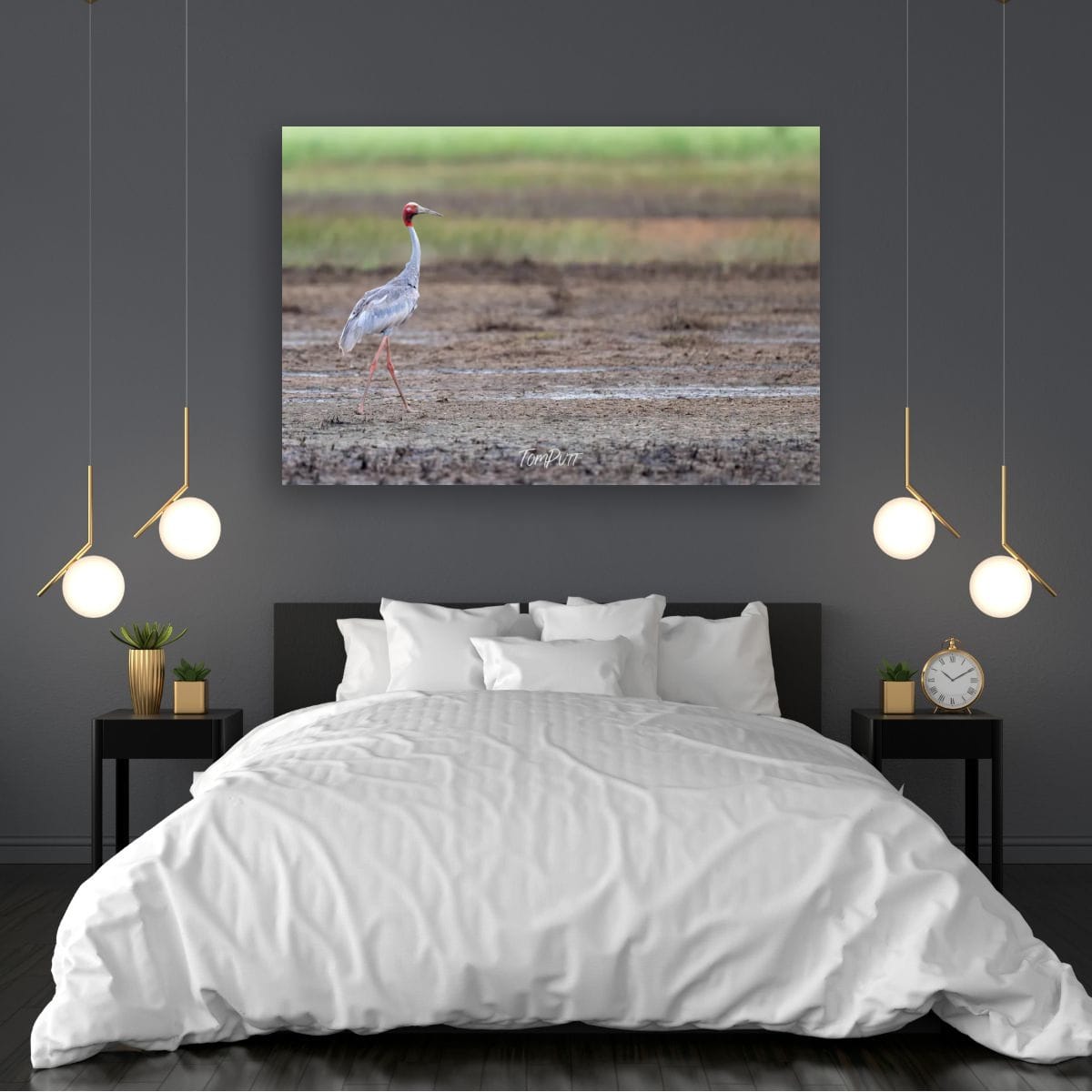 Sarus Crane Strolling