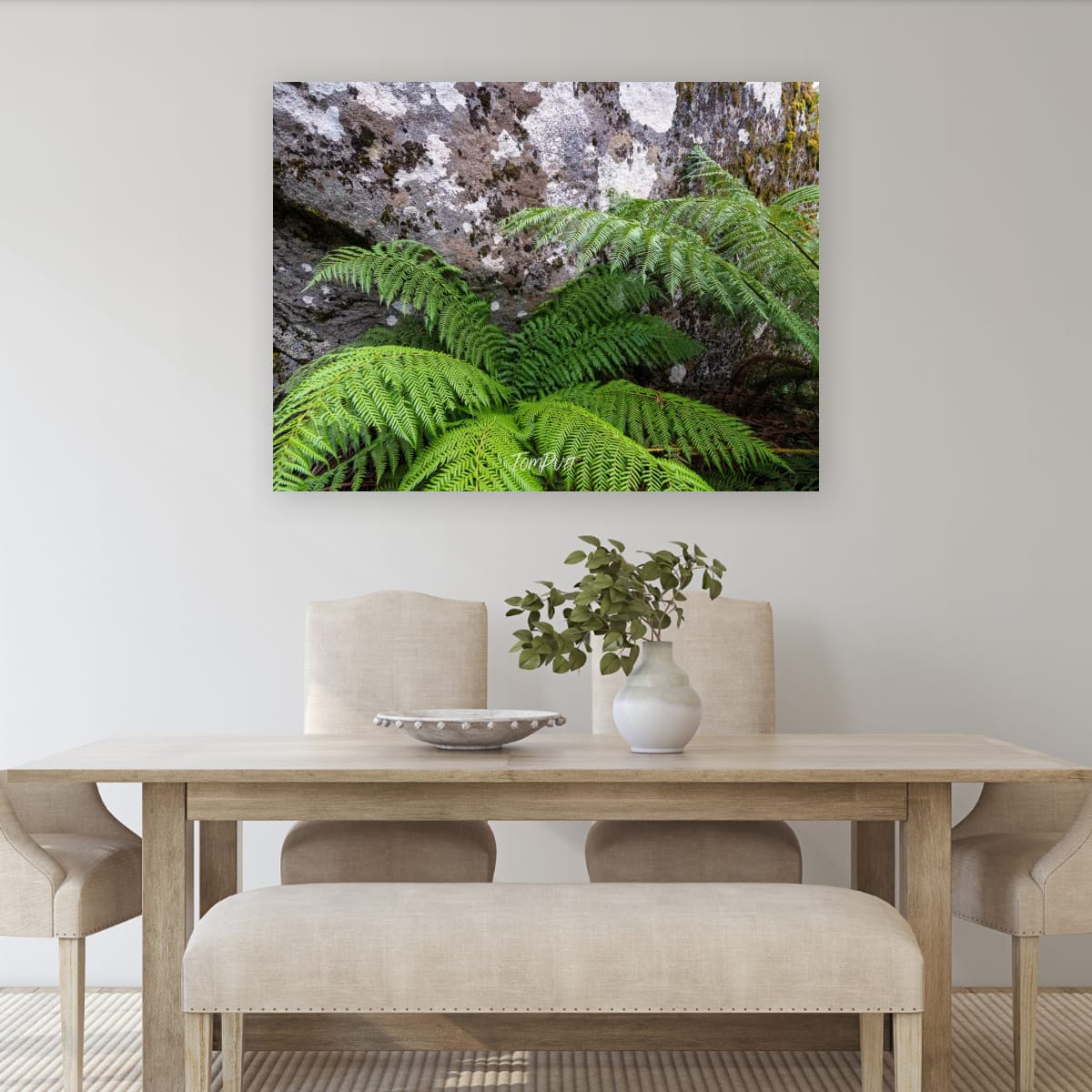 Ferns and Boulders, Mt Baw Baw
