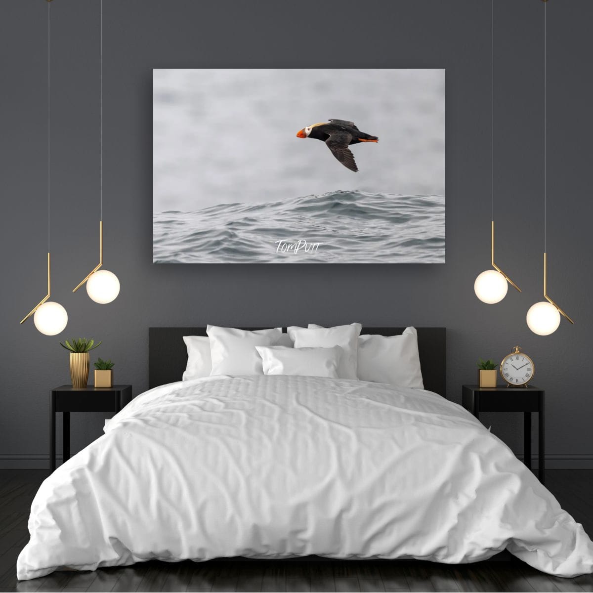 Wave Skimming Tufted Puffin