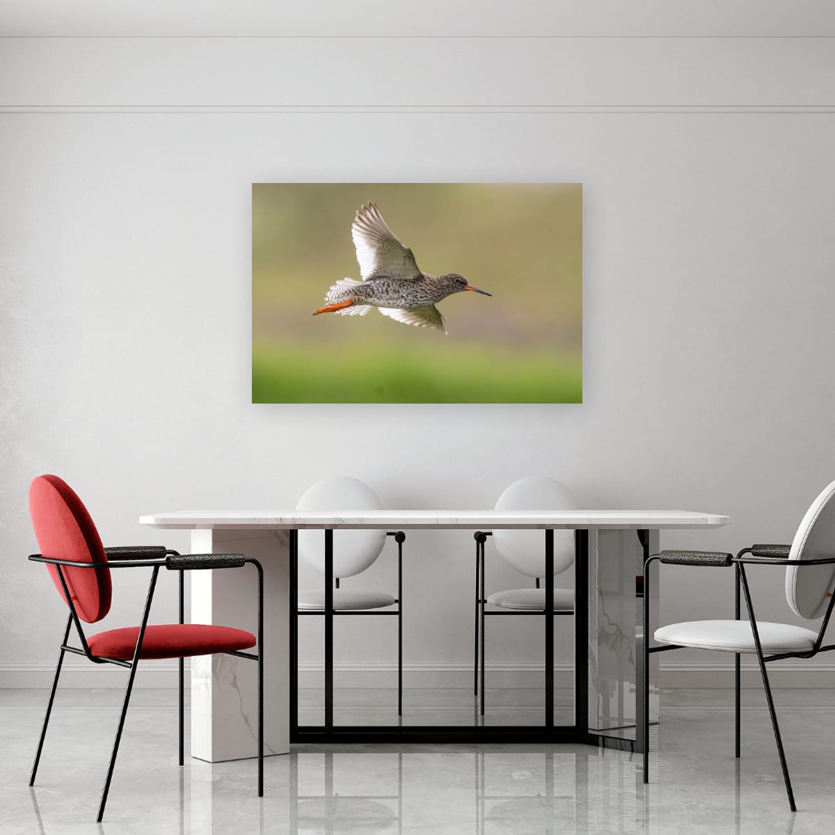 Redshank in Flight