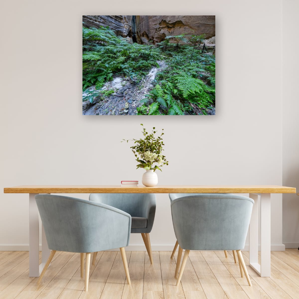 Fern Covered, Carnarvon Gorge