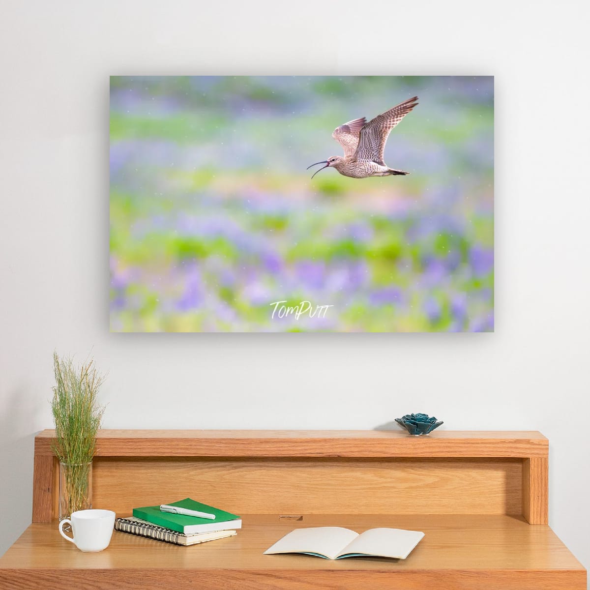 Flight Song. Whimbrel