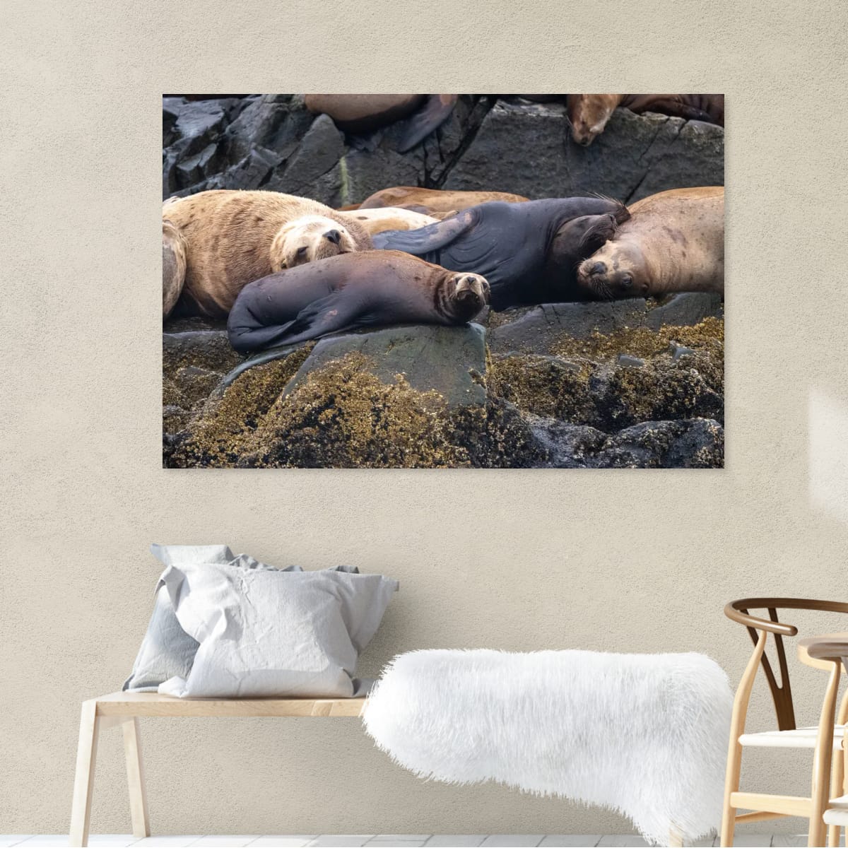 Saltwater Siesta: Sea Lion