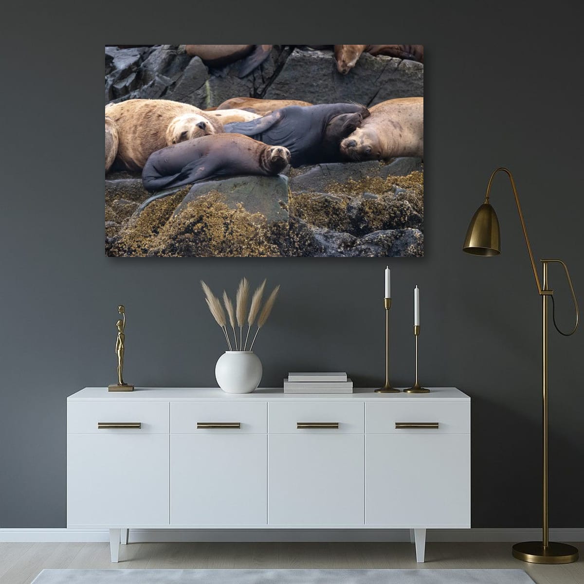 Saltwater Siesta: Sea Lion
