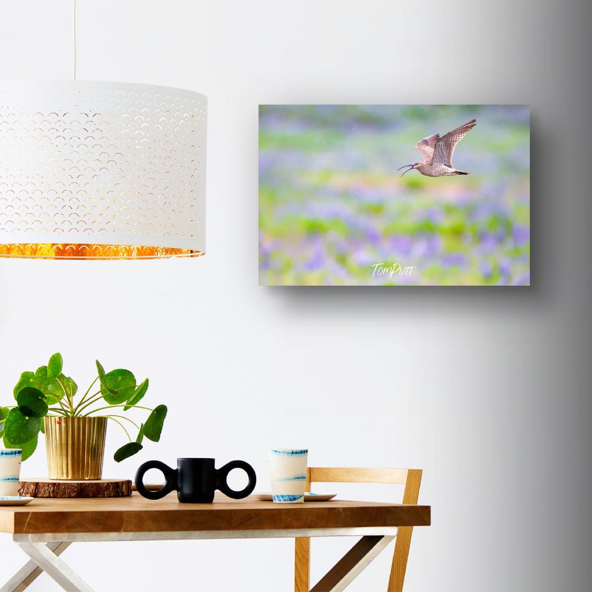 Flight Song. Whimbrel