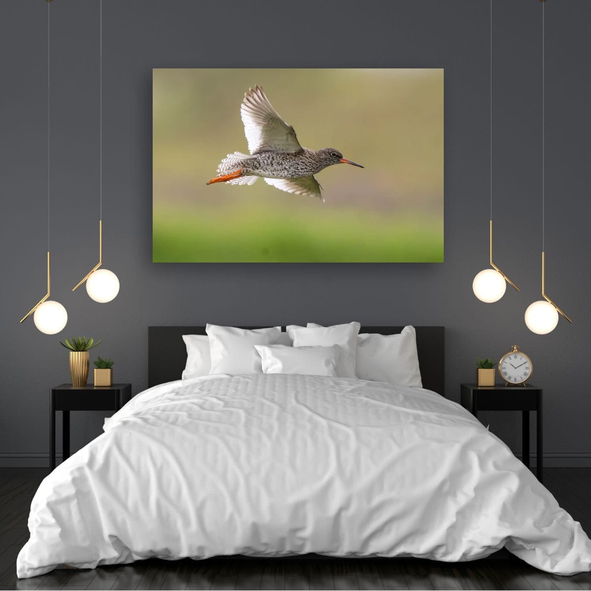 Redshank in Flight