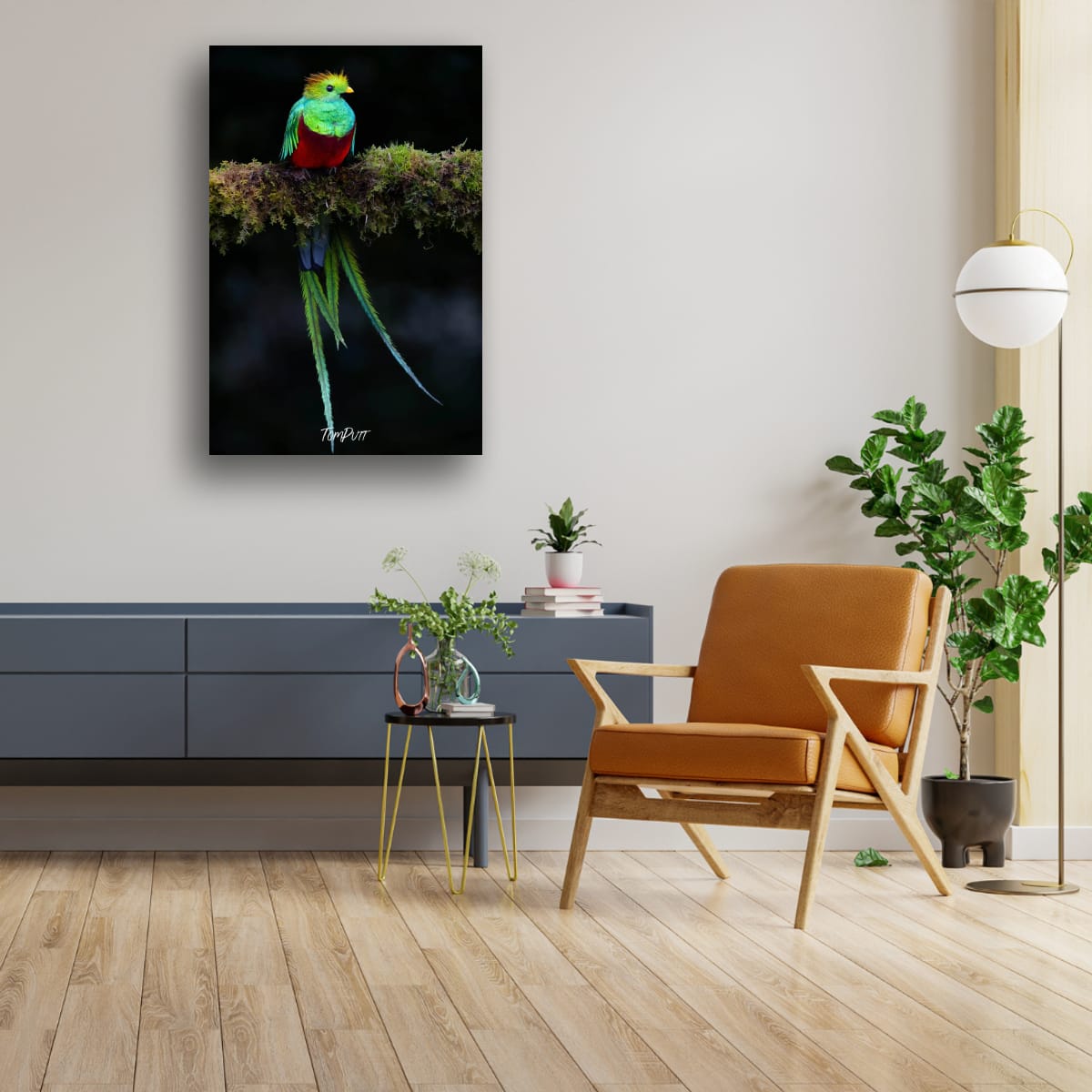 Resplendent Quetzal #2, Costa Rica