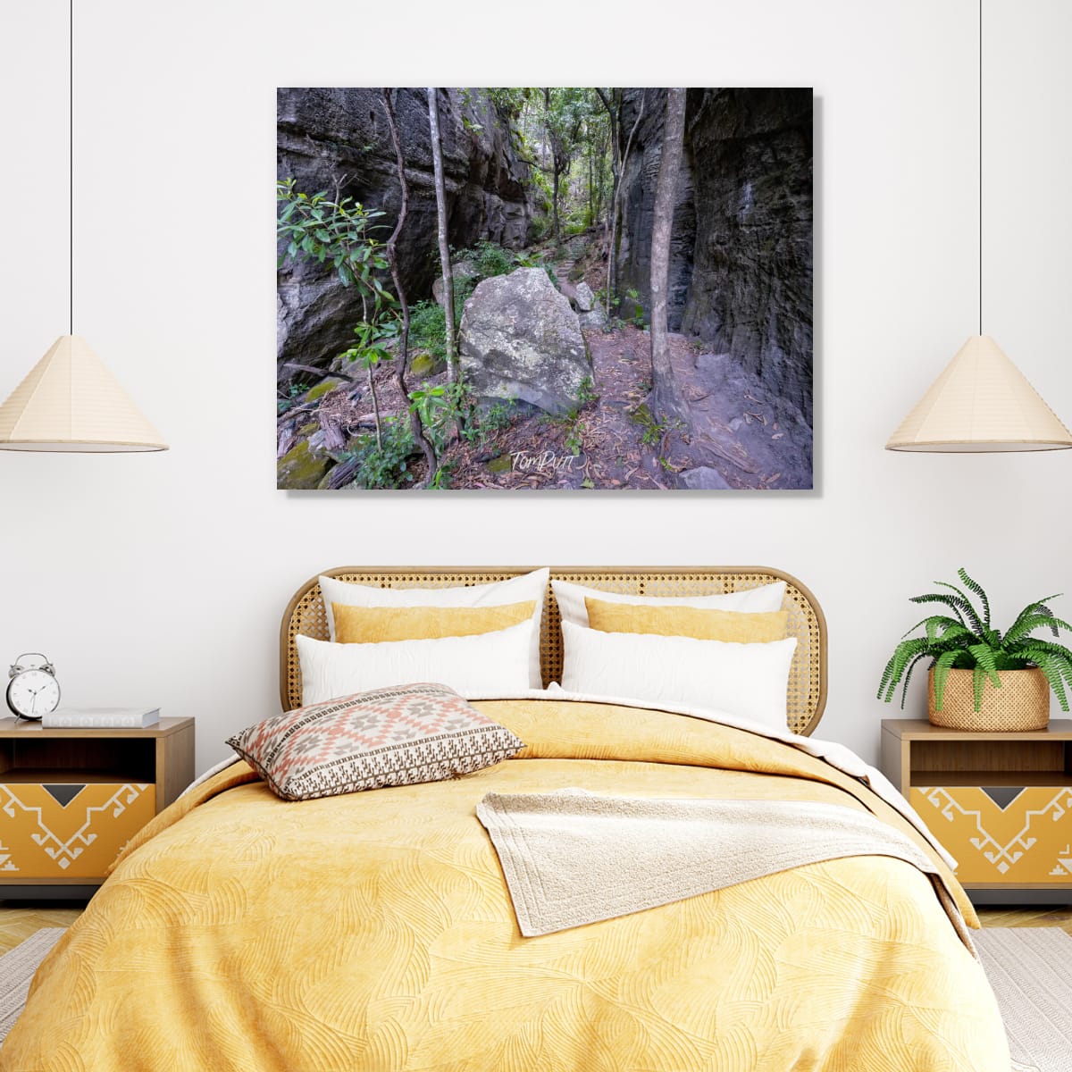 Carnarvon Gorge Path