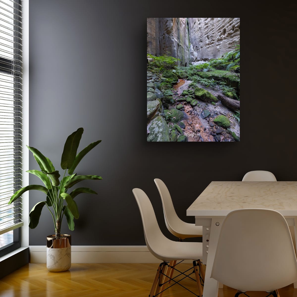 Moss and Stone, Carnarvon Gorge