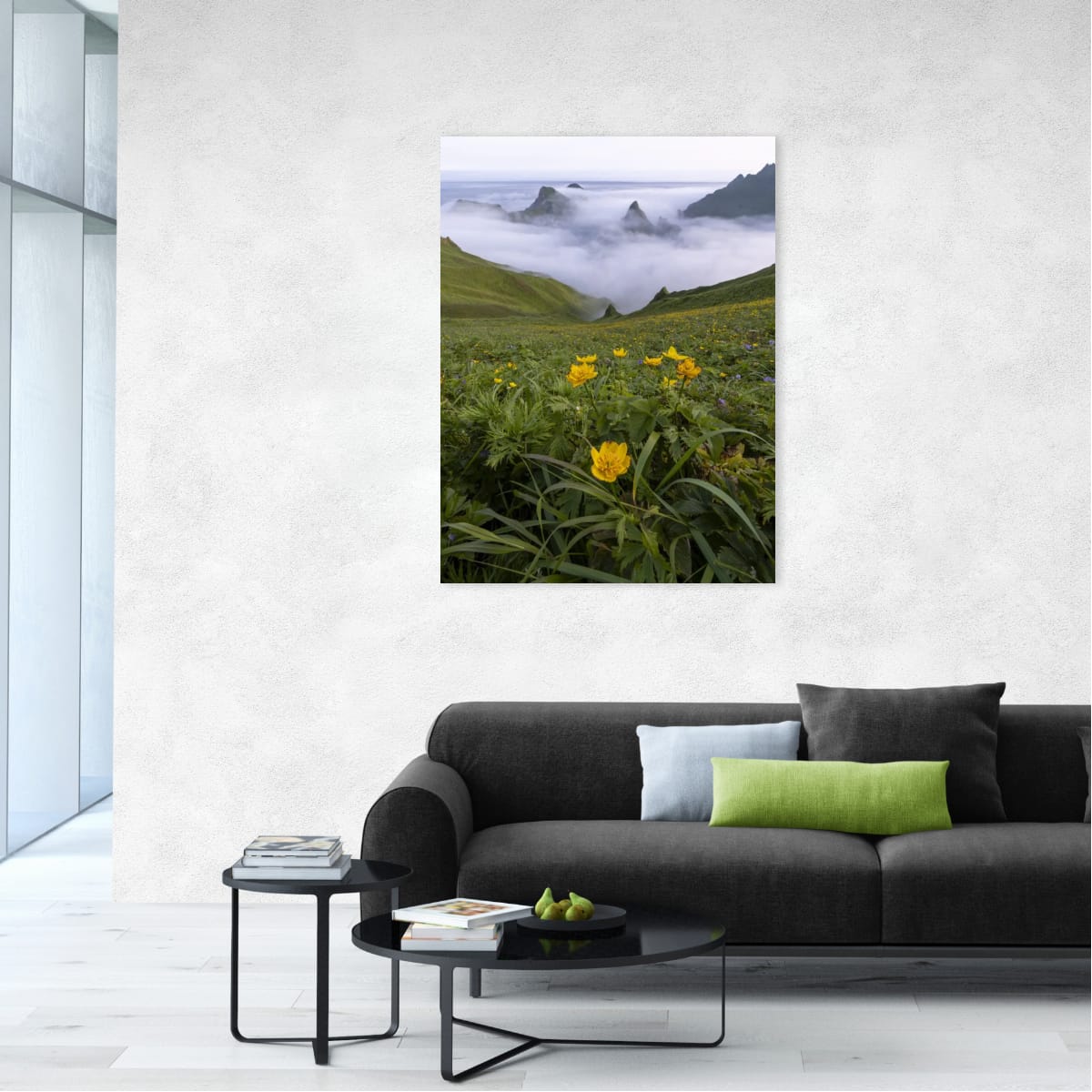 Meadow and Mist