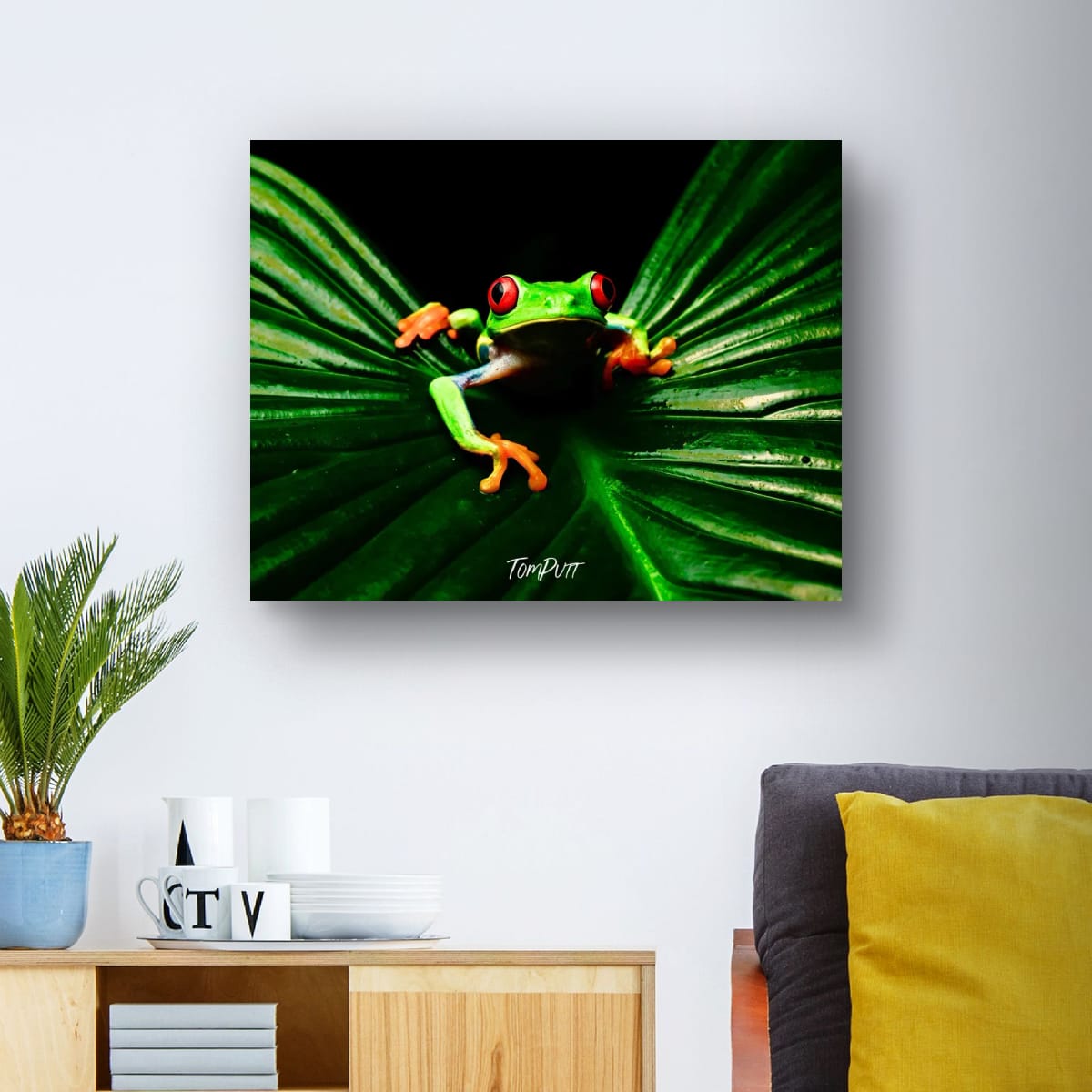 Red-eyed Tree Frog #5, Costa Rica