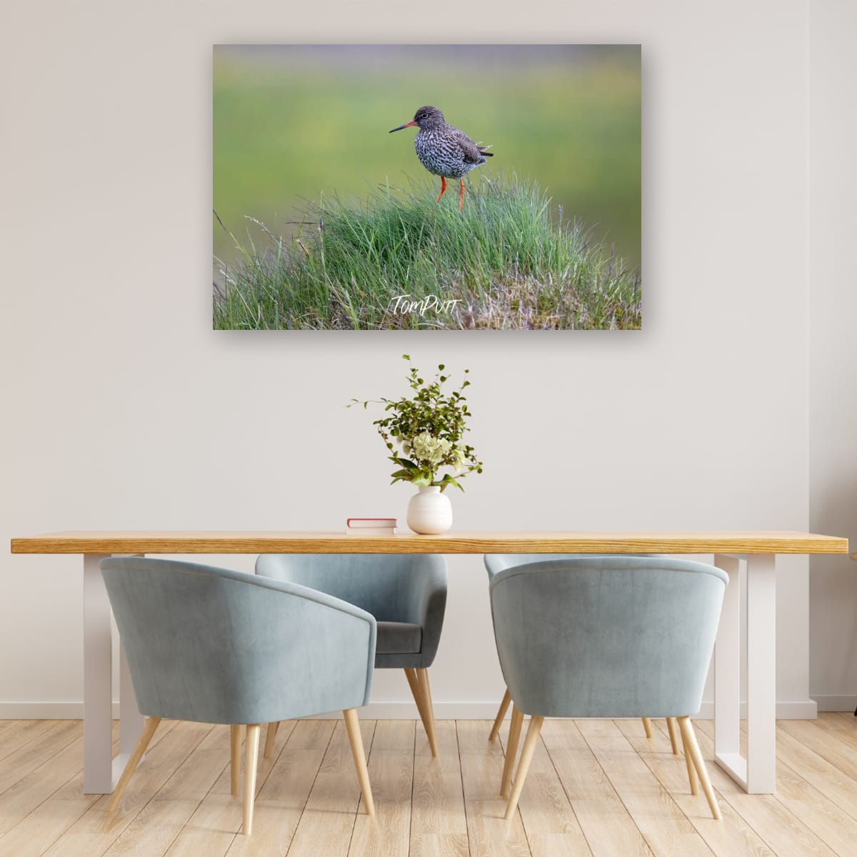 Grassy Perch. Redshank