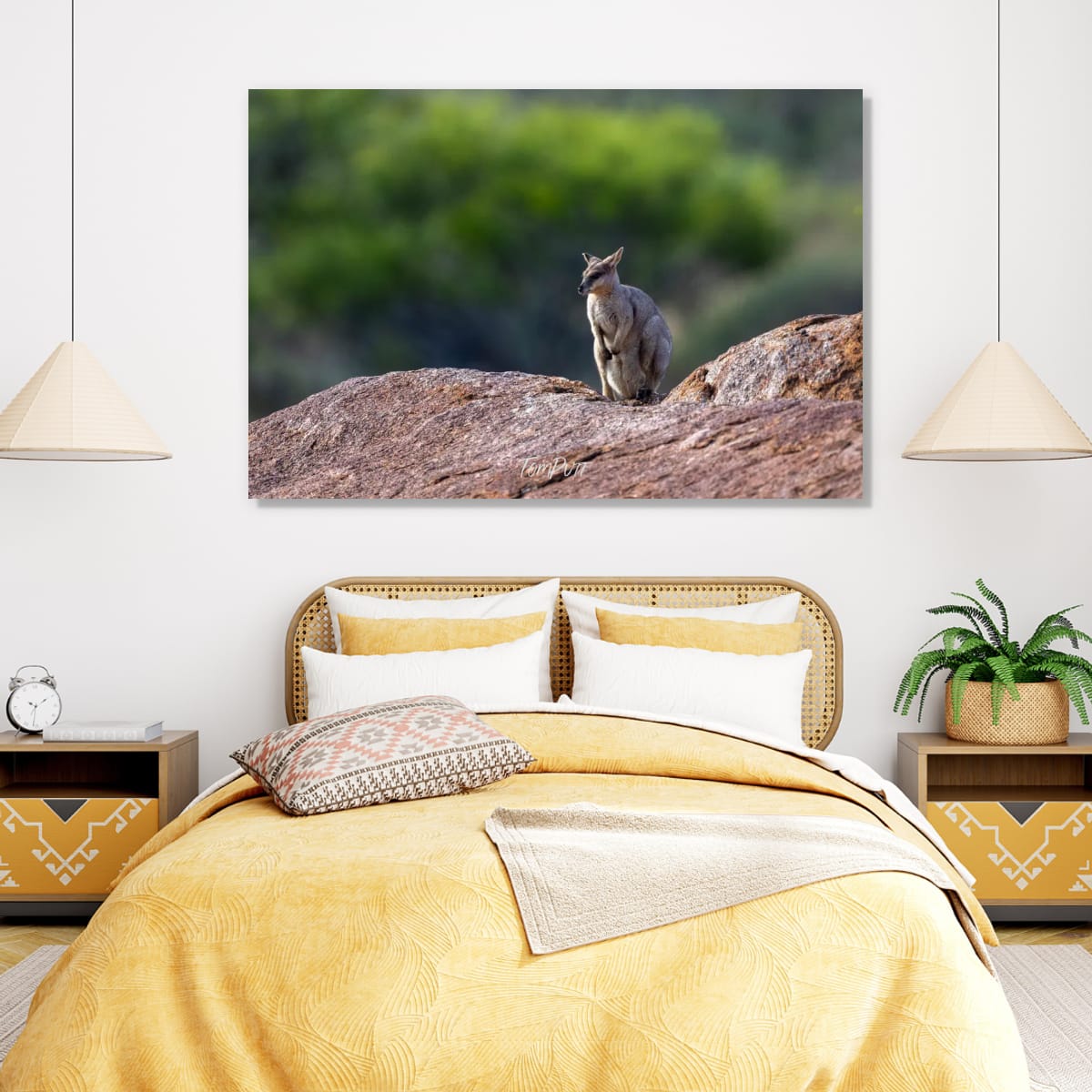 Vigilant Purple-Necked Rock Wallaby