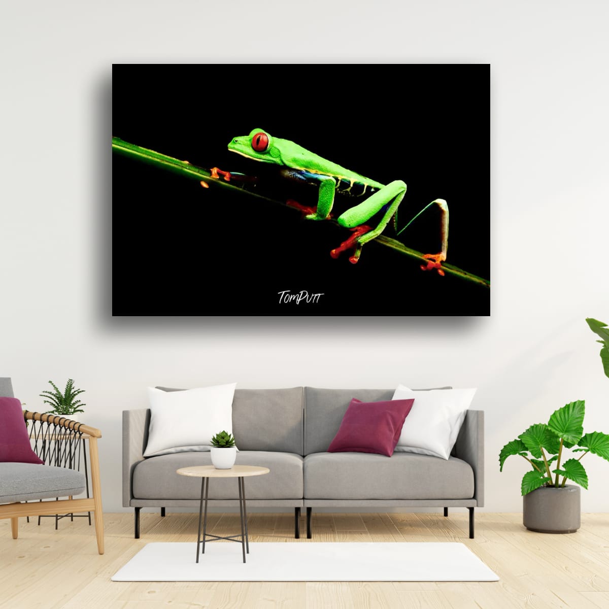 Red-eyed Tree Frog #4, Costa Rica