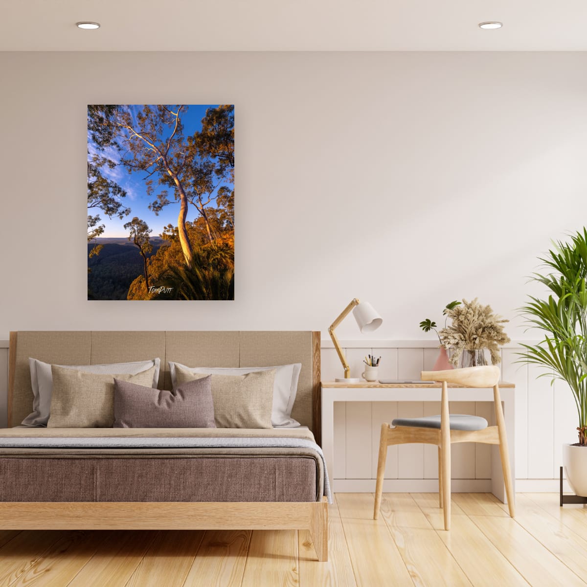 The Light of Carnarvon Gorge