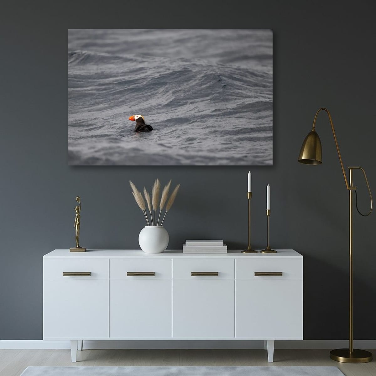 Paddling: Tufted Puffin