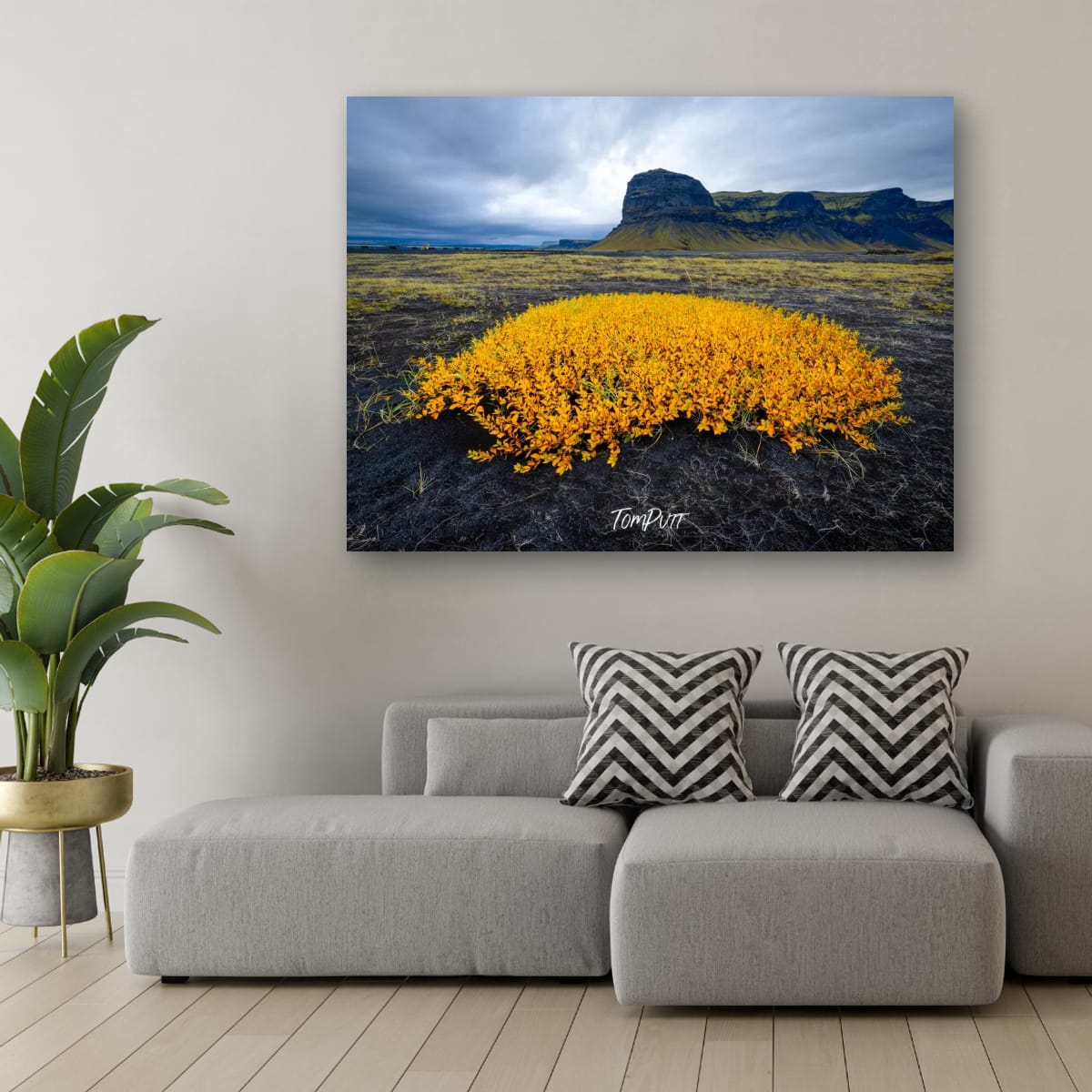 Golden Glow, Iceland