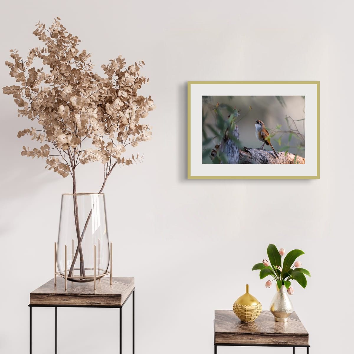 Song of the Opalton Grasswren