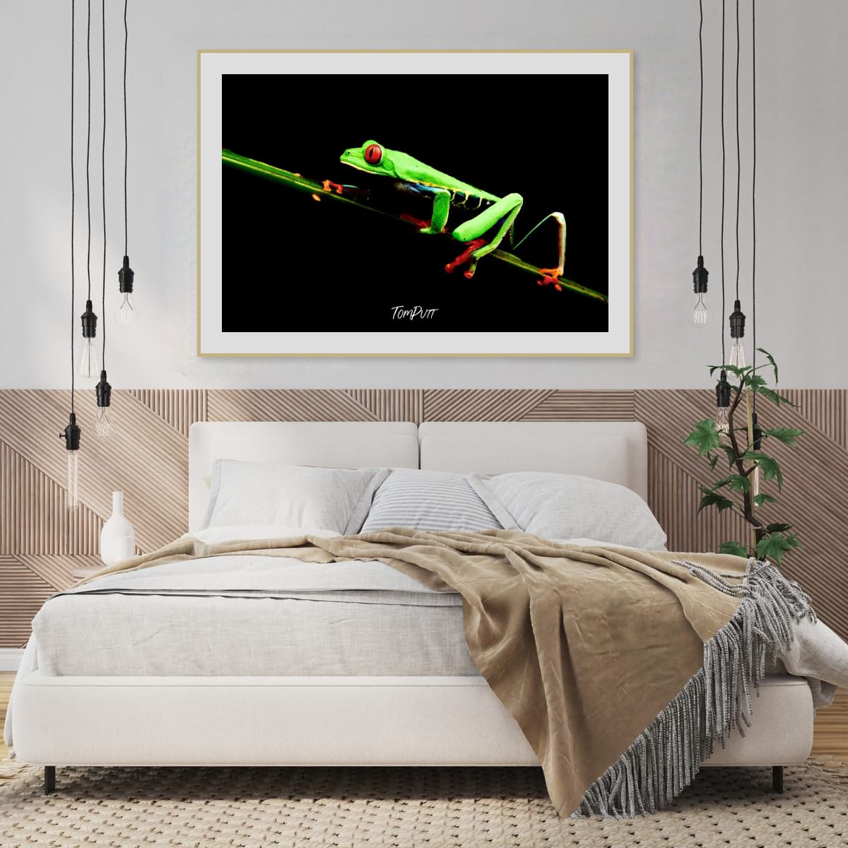 Red-eyed Tree Frog #4, Costa Rica