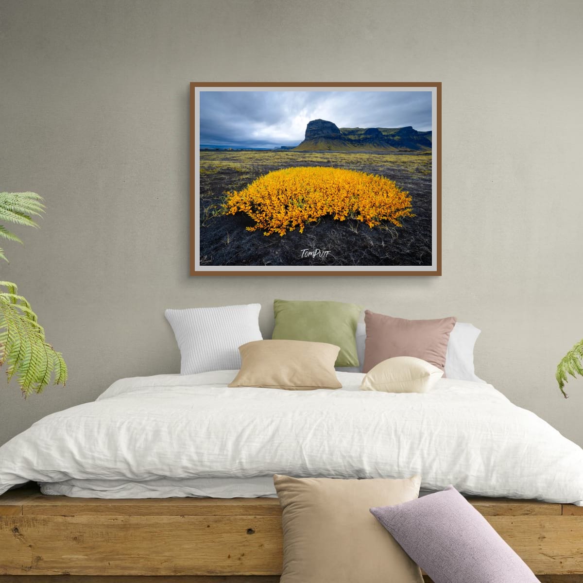 Golden Glow, Iceland