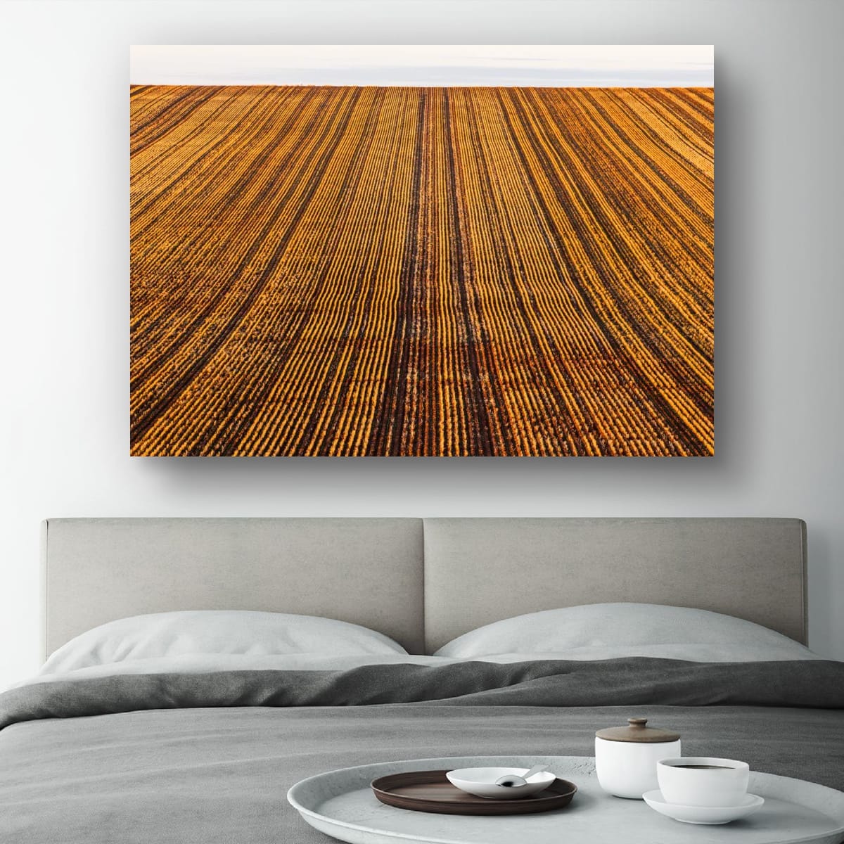Harvest Lines