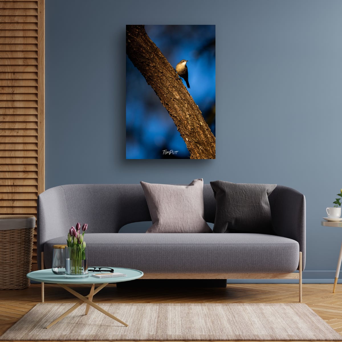 Carnarvon White-Throated Treecreeper