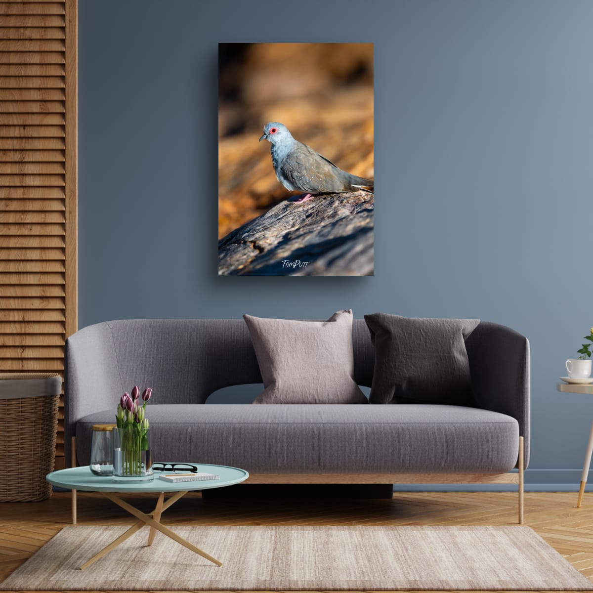 Diamond Dove, Channel Country