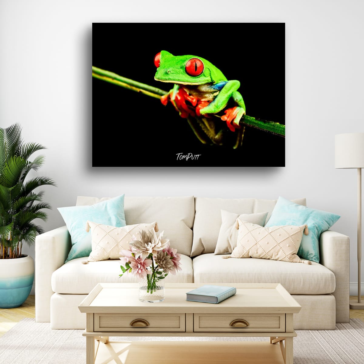 Red-eyed Tree Frog #3, Costa Rica