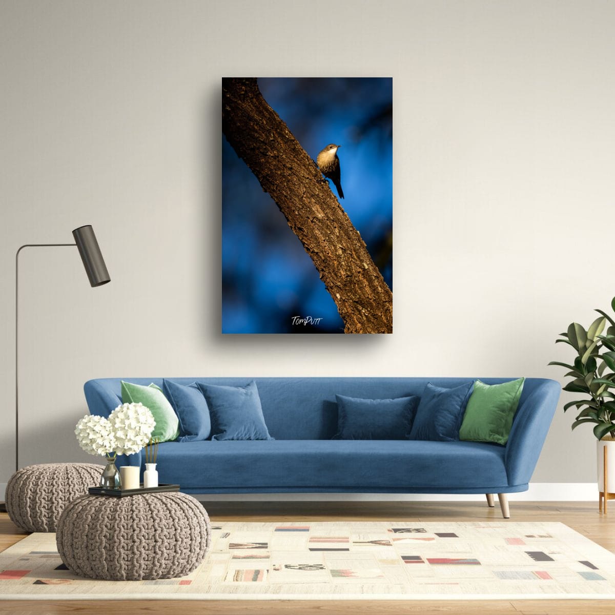 Carnarvon White-Throated Treecreeper