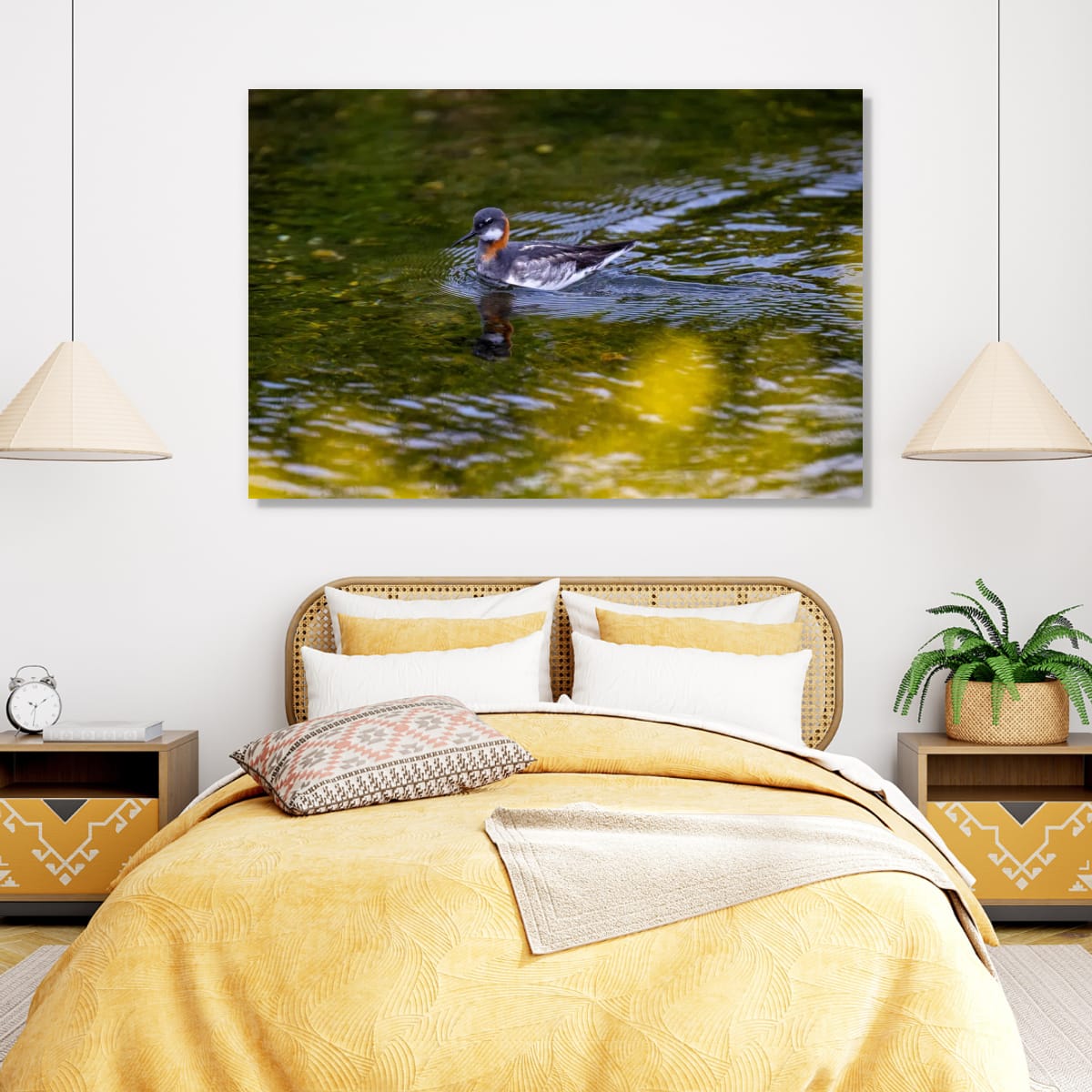 Red-Necked Phalarope