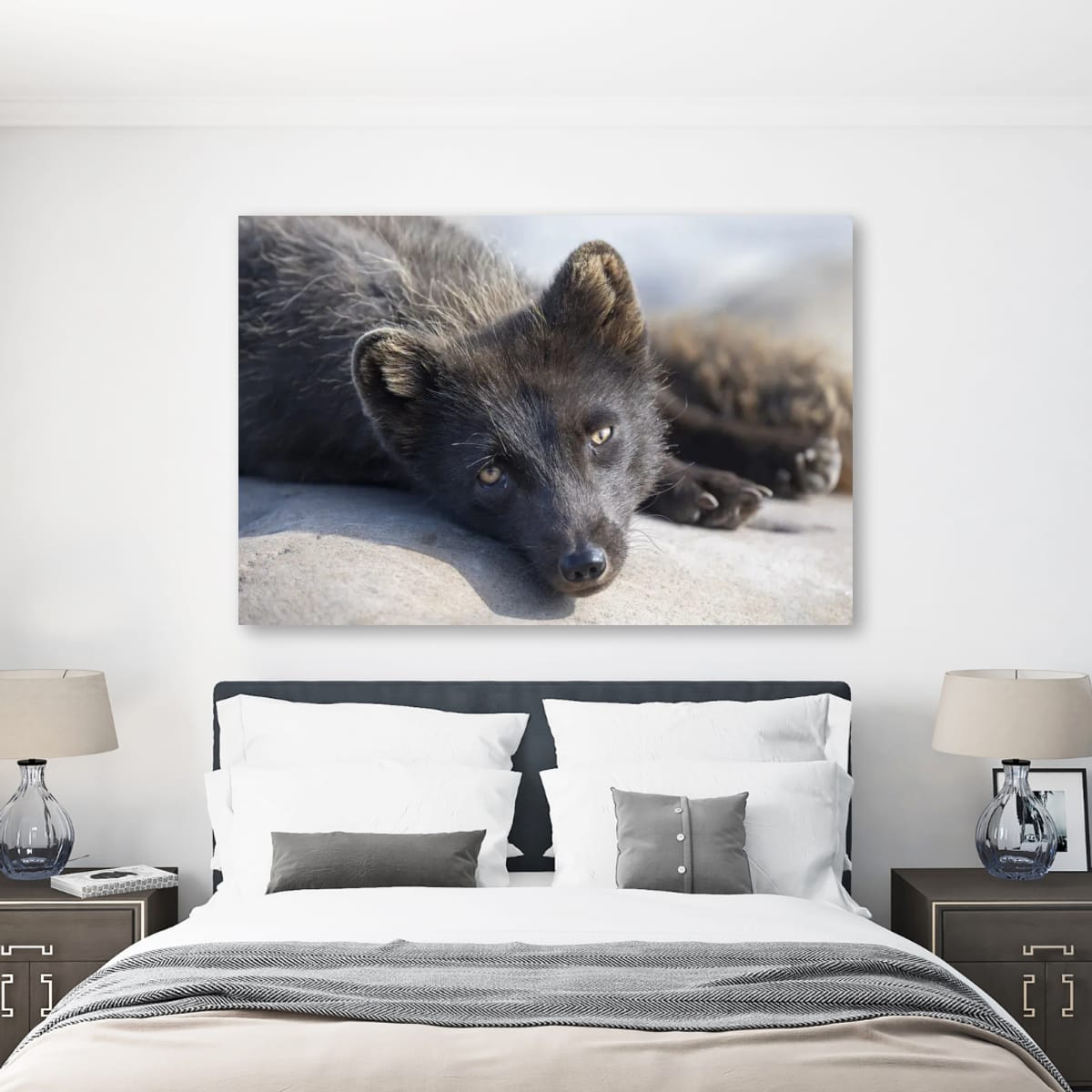 An Arctic Fox at Rest