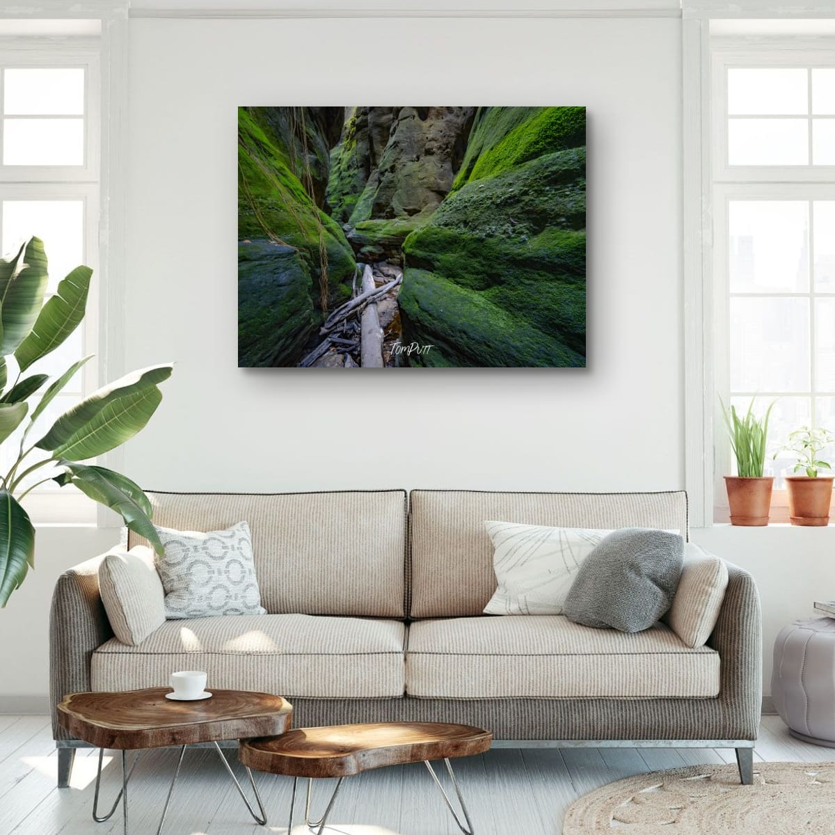 Green Passage, Carnarvon Gorge