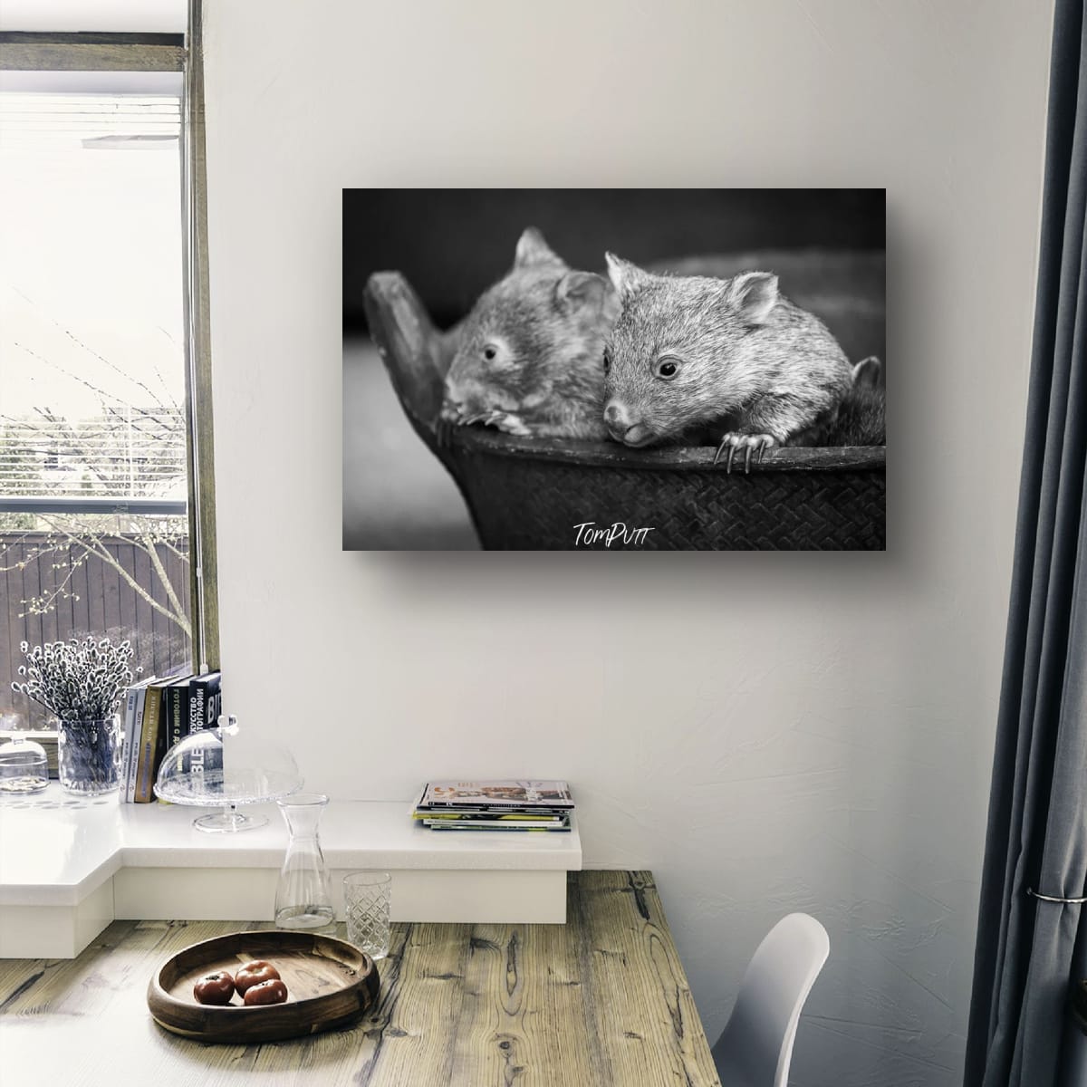 Cuddles, Flinders Island, Tasmania