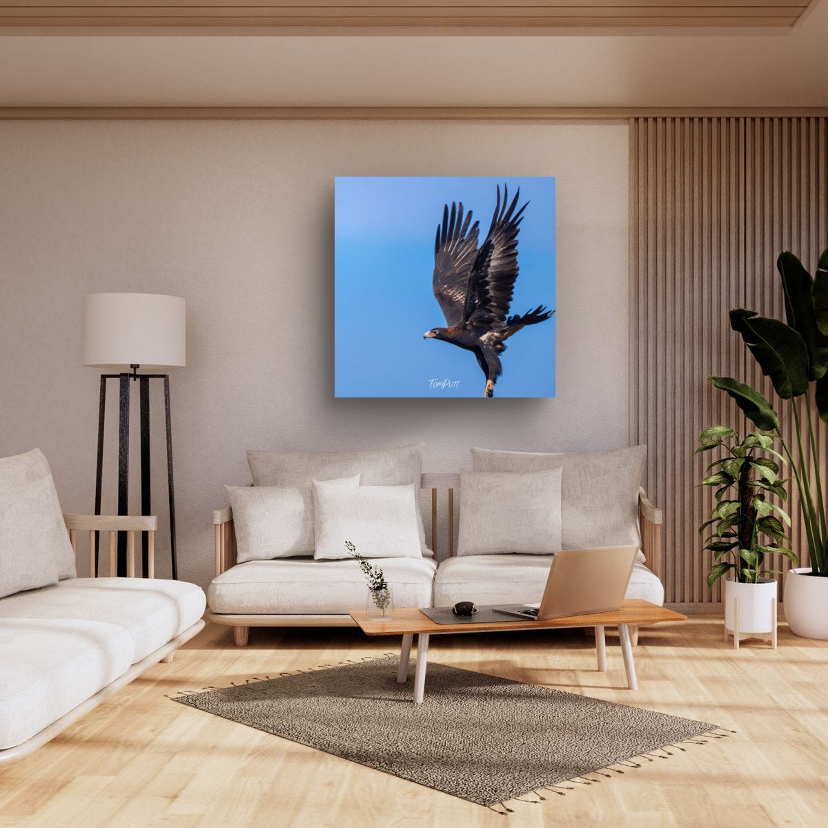Wedge-Tailed Eagle Dance