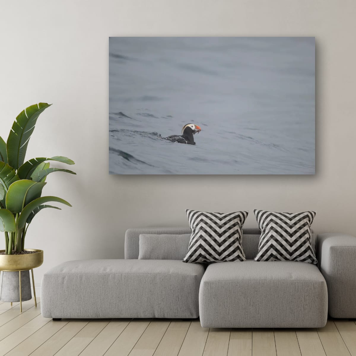 The Catch: Tufted Puffin