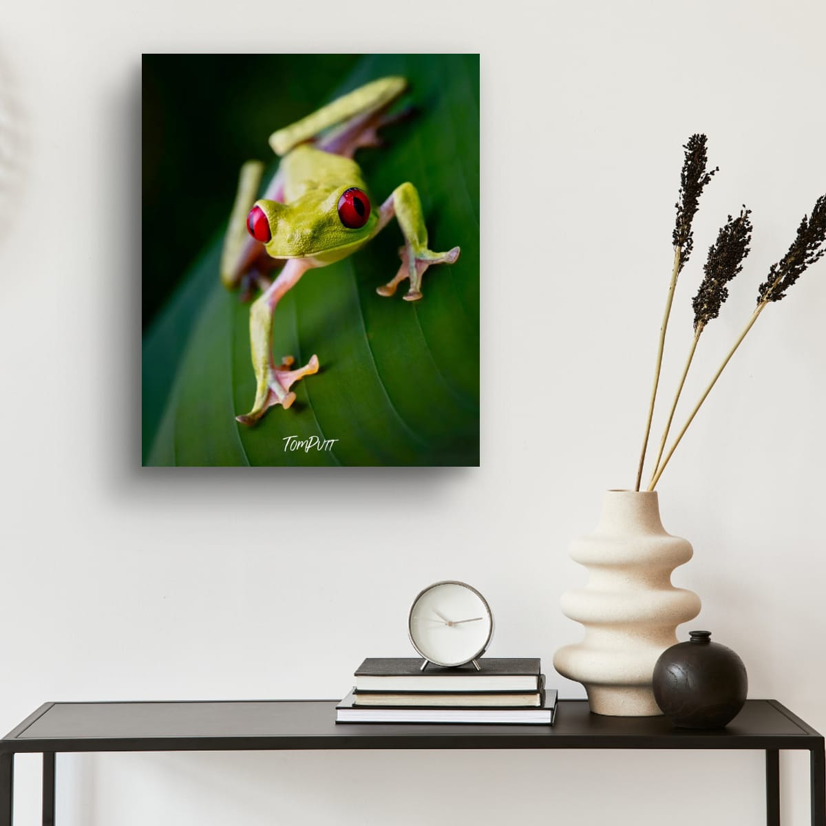 Red-eyed Tree Frog #2, Costa Rica