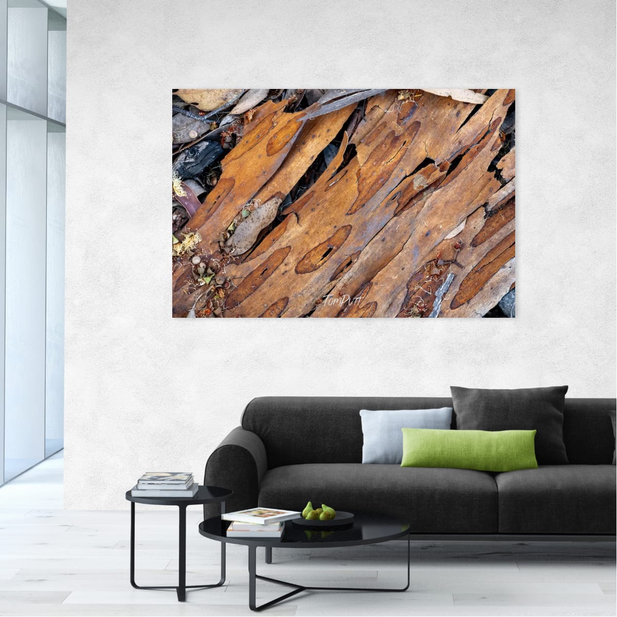 Bark Mosaic, Carnarvon Gorge