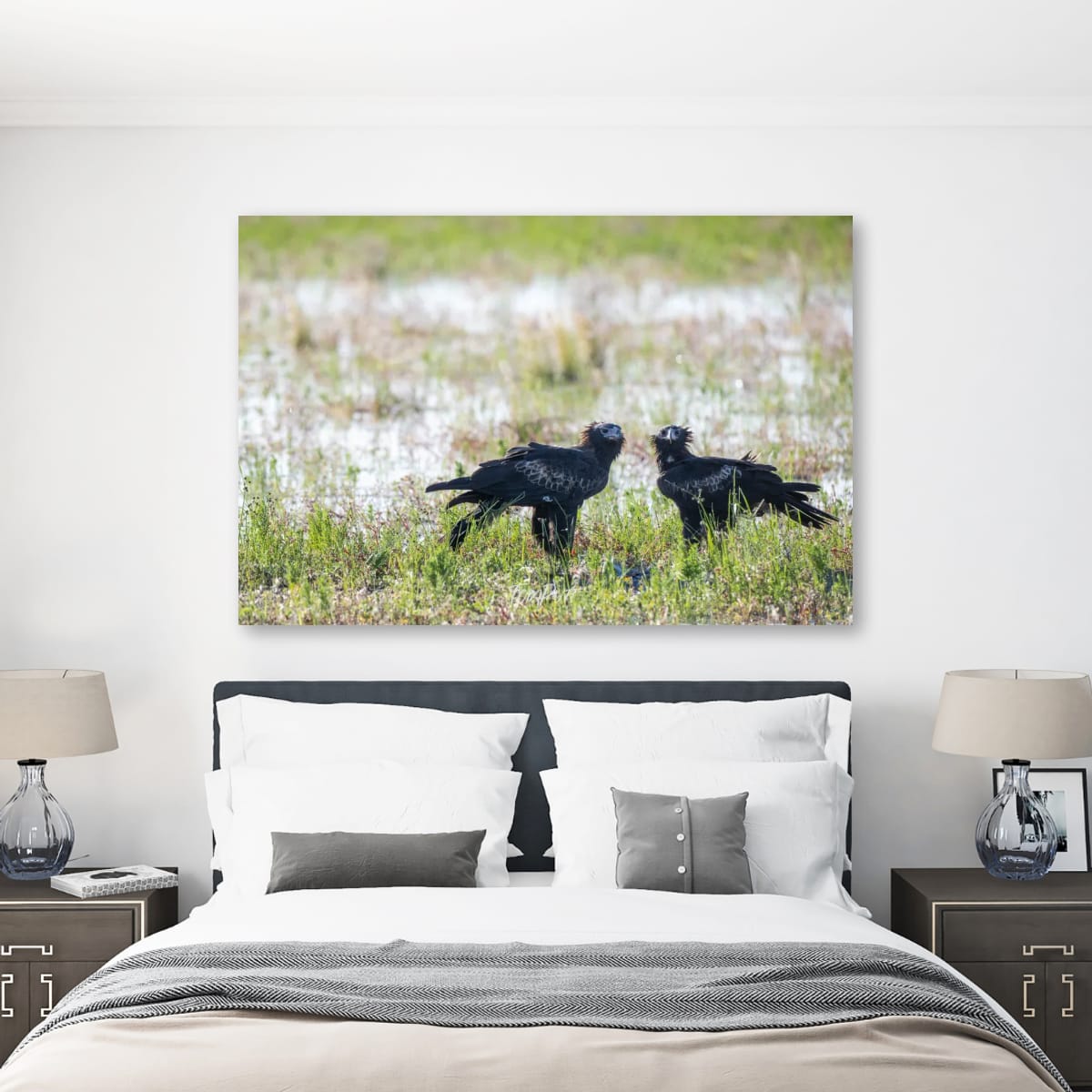 Fine Pair. Wedge-Tailed Eagle