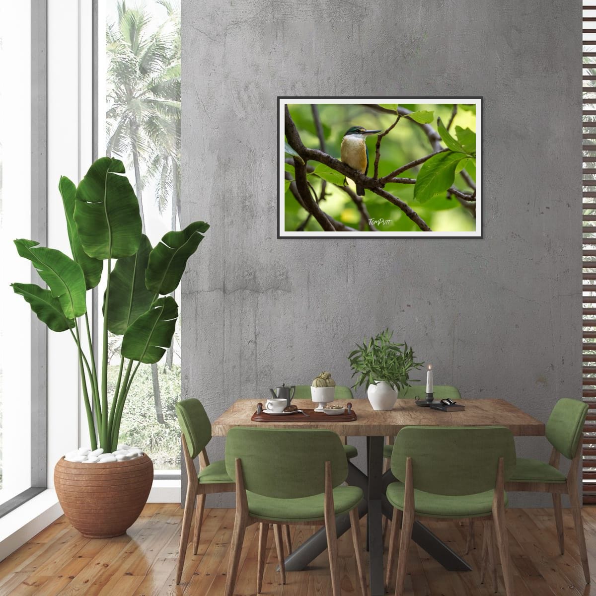 Sacred Kingfisher: Heron Island